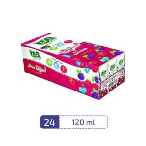 Al Rabie Berry Mix Drink Juice 120 ml Pack 24 Pcs