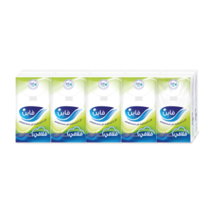 Fine Pocket Tissue 2 Ply Pack Of 10