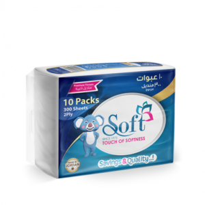 Soft Tissues Nylon Pack 300 Sheet 2 Ply 10 Pieces