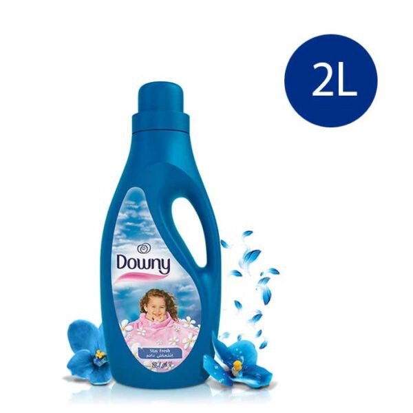 Downy Regular Fabric Softener Stay Fresh 2Liter