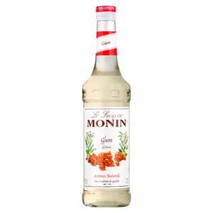 Monin Gum 700ml